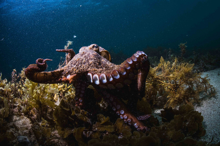 Дорогой, ты у меня первый! За сегодня. Чуть позже у меня ещё три романтические встречи!