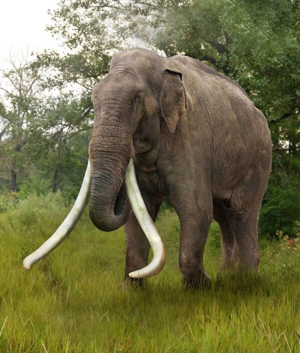 — Здравствуйте, это вы записывались на наращивание волос? — Да. — Отлично, ожидайте вашего мастера.