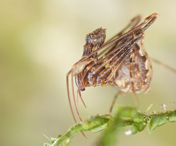 ������� ������ ��������� ������� �� ������� � ����� ������ �����������.