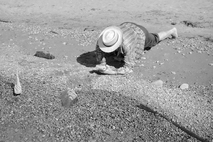 На берегу Финского залива, Зеленогорск 27.08.1961 Старое фото, Фотография, Зеленогорск, Финский залив, Масштабная модель, Парусник, 60-е, Длиннопост