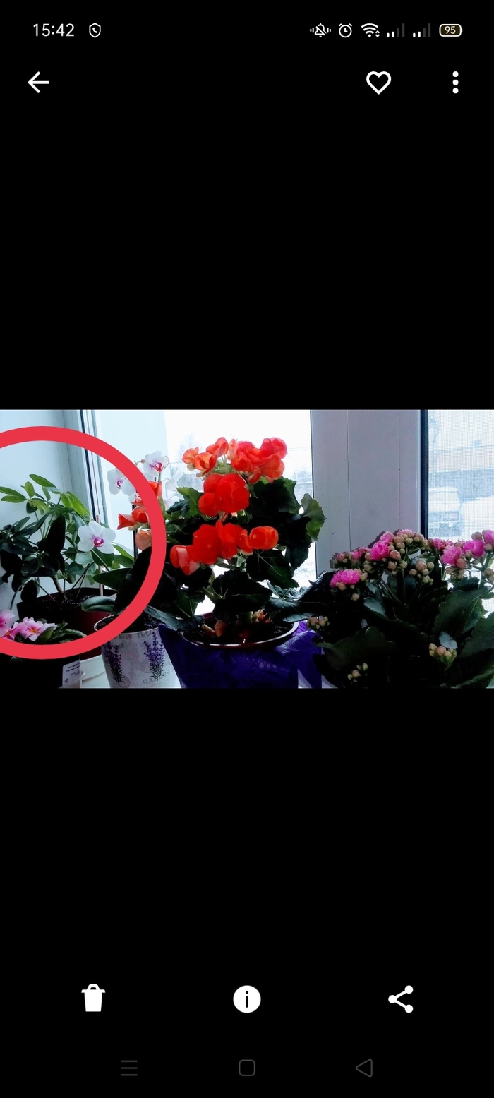 ������� 2023