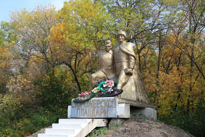 Фото из сети.