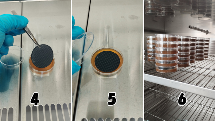 ����� ���������� ����������