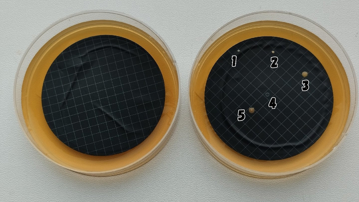 ����� ����� ����� �����������������