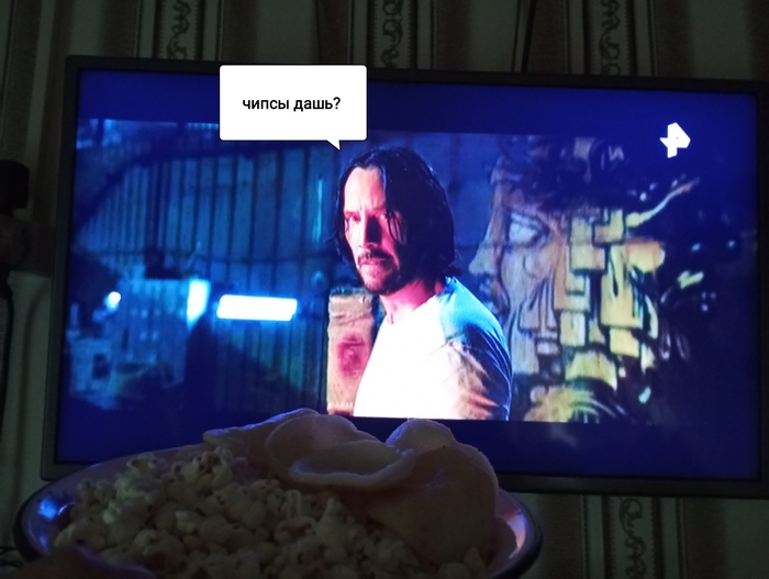 Život na TDS v tajze. Voda, teplo a John Wick Meteostanice, Léto, Teplo, Voda, Medvědi, Kočka, Pes, Filmy, John Wick, Dlouhý příspěvek