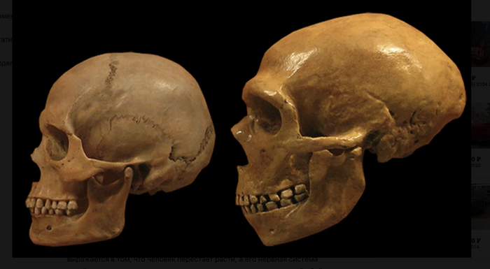 ����� ����������� (�����) � ����� �������������