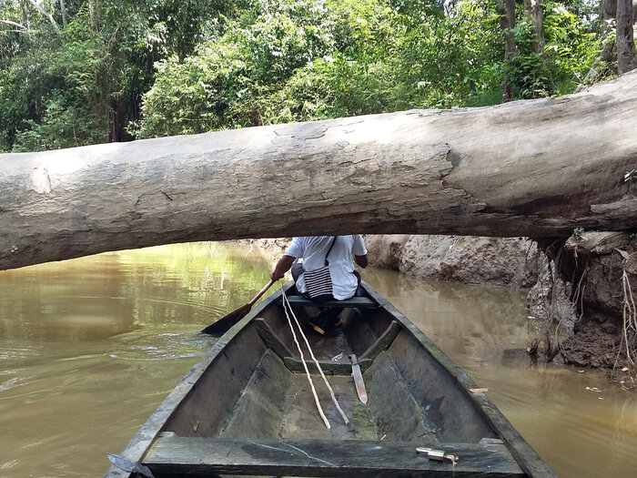 "",    -  "". ,   ""    