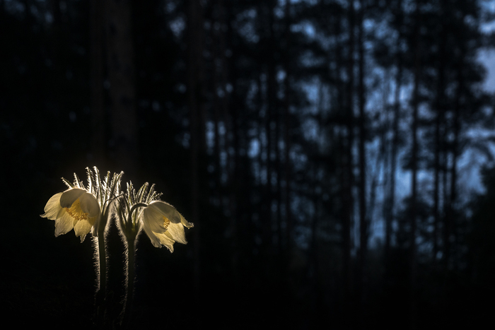 А тут уже совсем сумерки, если не сказать больше (хоть на кадре это и не особо видно)