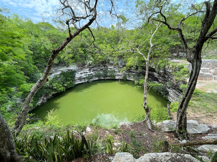 Священный сенот в Чичен-Ице. Часто сеноты (например, этот — поэтому и зацвёл) использовались для жертвоприношений богу воды