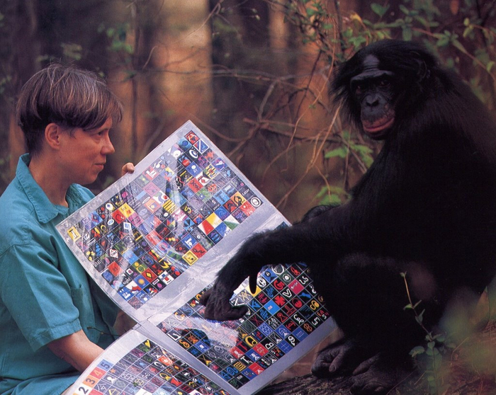 Доктор Сью и Канзи