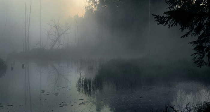 Случай на болоте