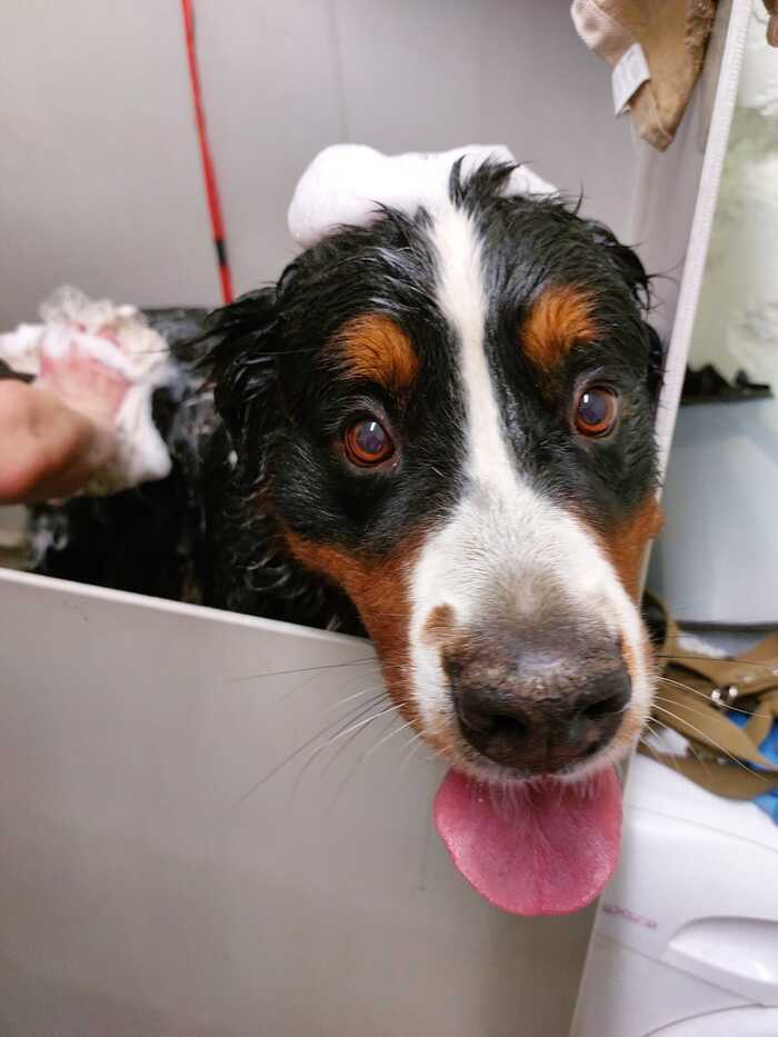 изверг ты, мать...