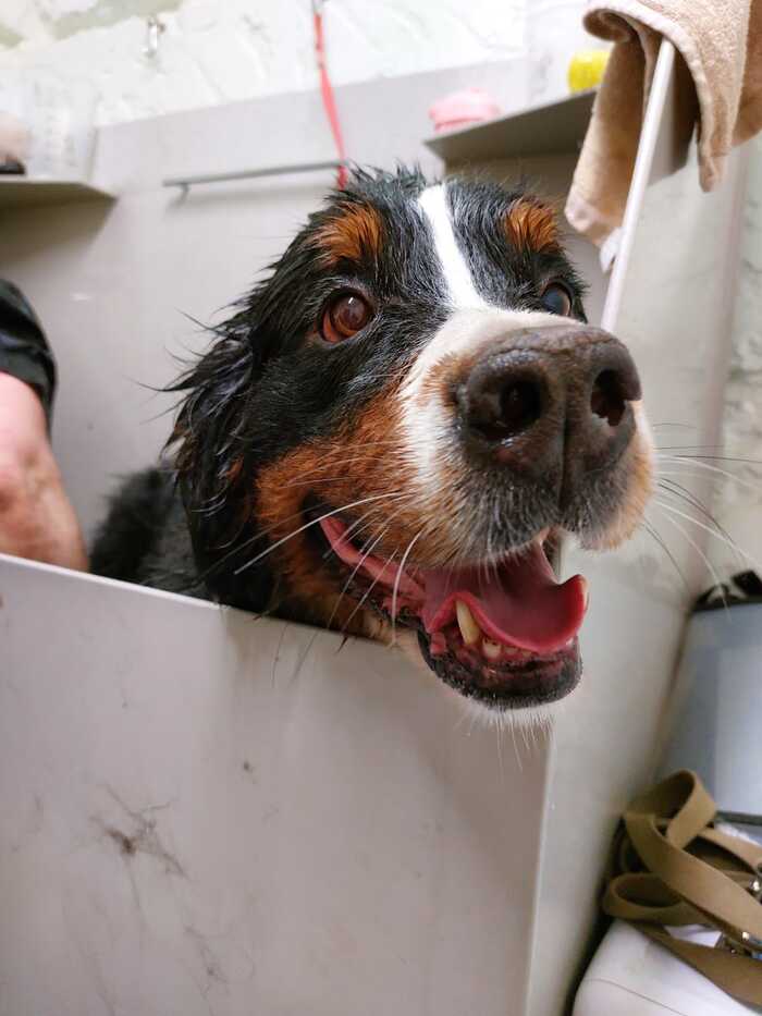 спасите-помогите!!!