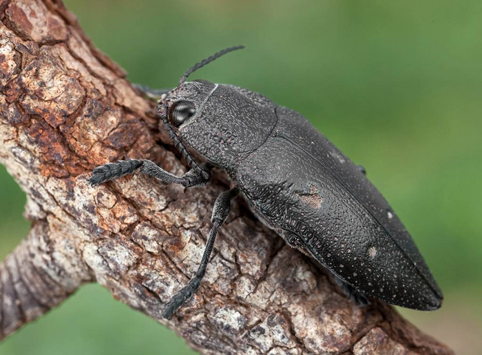  .      ,               .