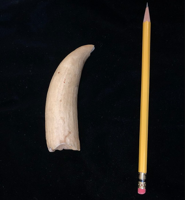 � ��������, �� ����� ���� ����� �������� ������� ��� ����. ��� ��� ���.