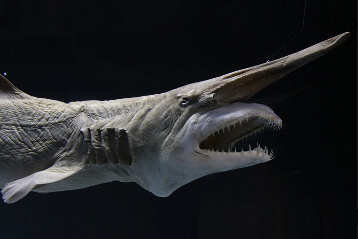 ��� ������ �������� �� ����, ������� �� ������ ����������.