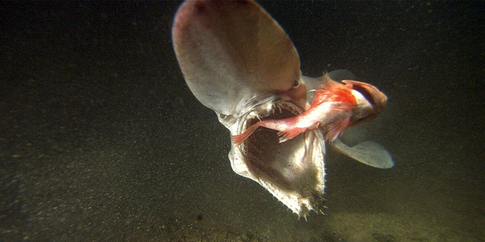 ����� ������ � ����� ������� �����?