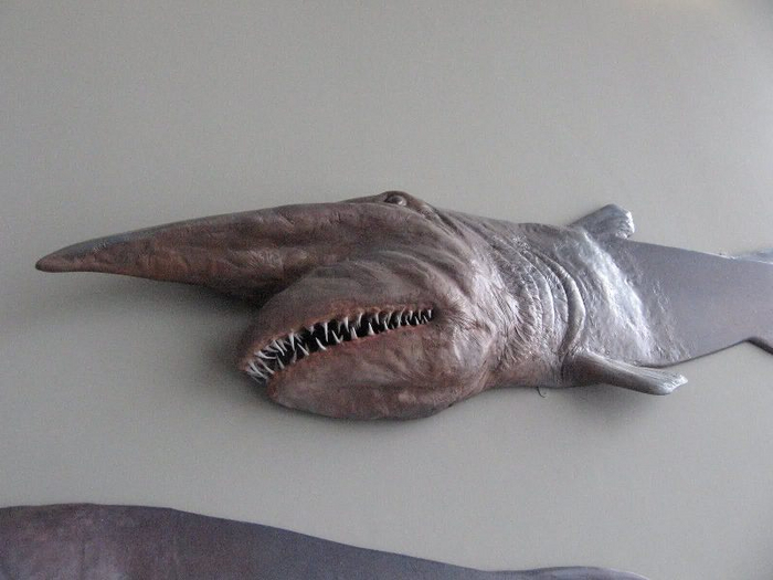 ������, �� � ���� ����� ��������! �� ����� ���� ��� �������� ������! �: