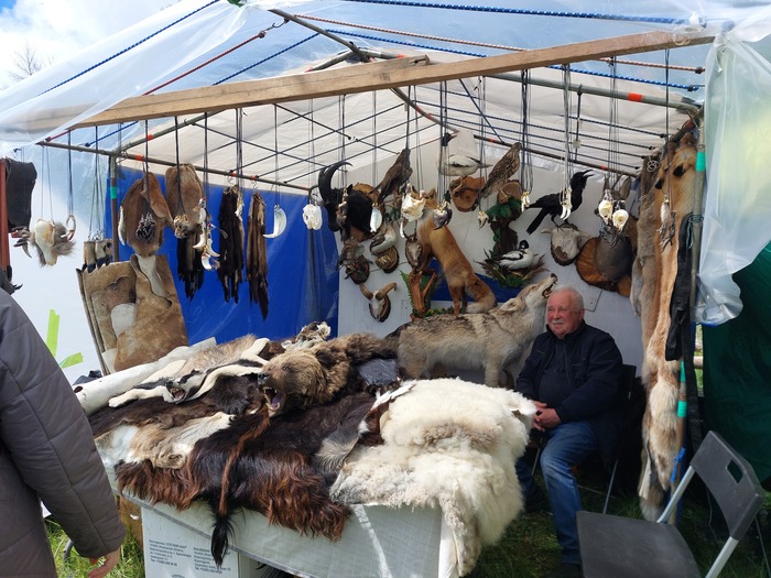 Шкурные дела