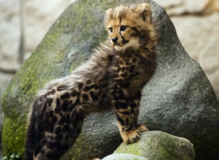 ����������� ������ �������� ��� ������� �������� ���������. �� � ��� � ����, ��� ������ ������� � ��������� � ���, � ��� �� ������!