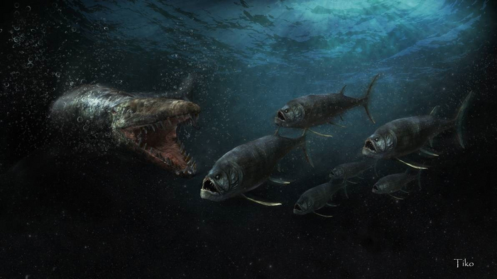 �� ���������, ��� � ������ ������ �������� ����� ���������. ��� ���� ���������.