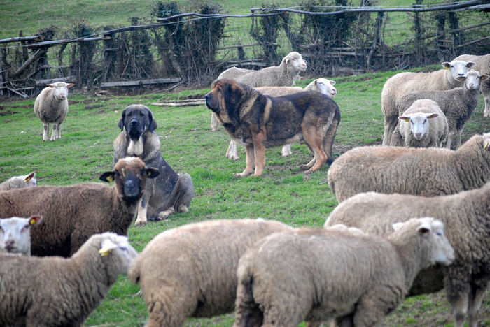 Пост сдал, пост принял!