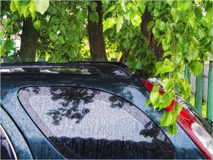 После дождя