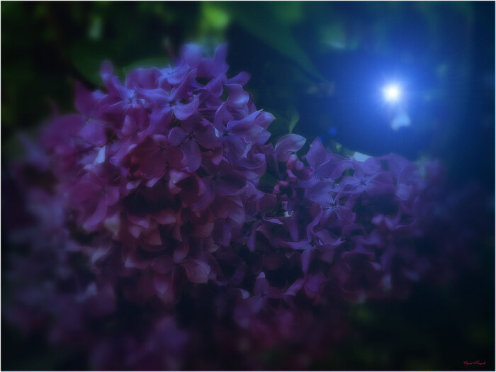 Немного лирики...