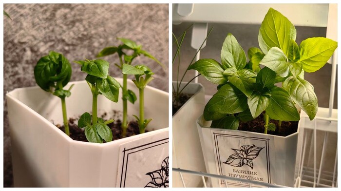 ������� ��� ������ ����� ����� ���������� / ������� �������