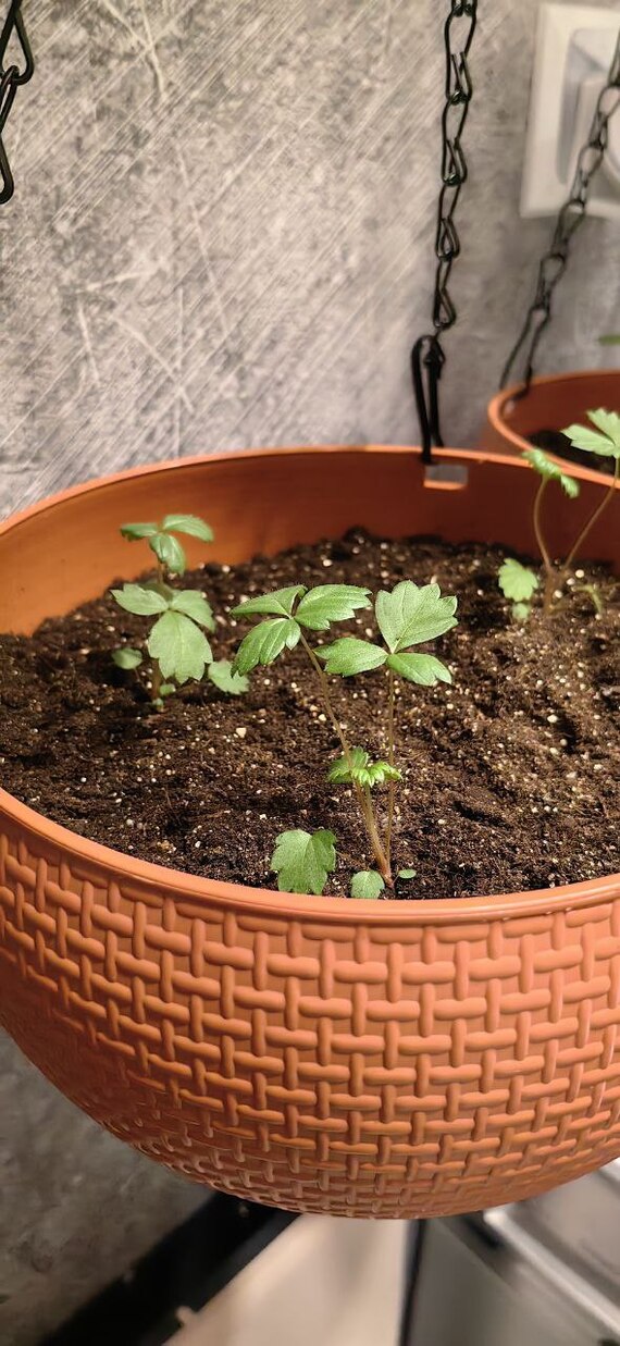 ������ � ��������. ����� ���������