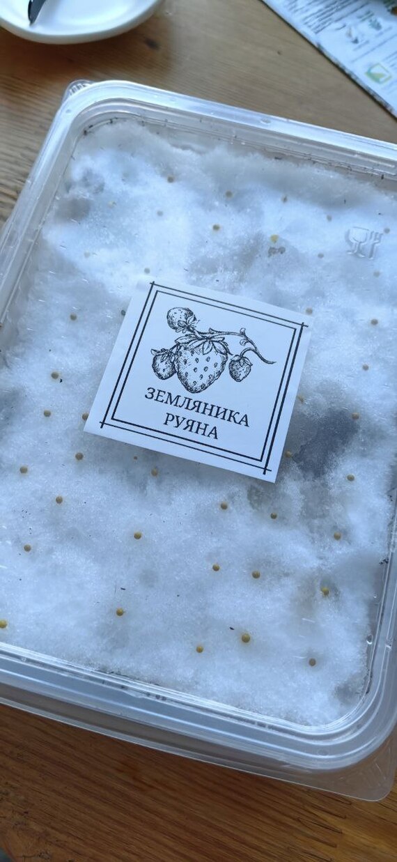 ������ � ��������. ����� ���������