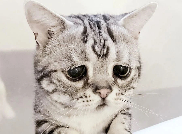 Карма в действии