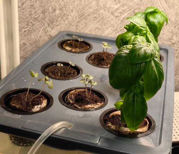 ������ � ��������. ����� ���������