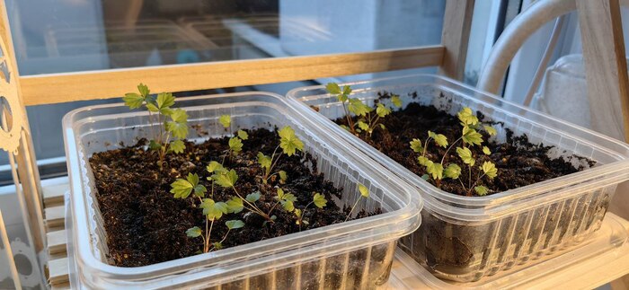 ������ � ��������. ����� ���������