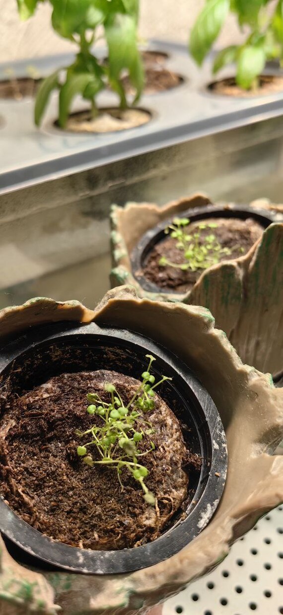 ������ � ��������. ����� ���������