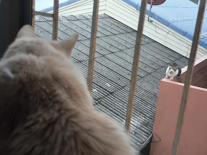 You have been spotted