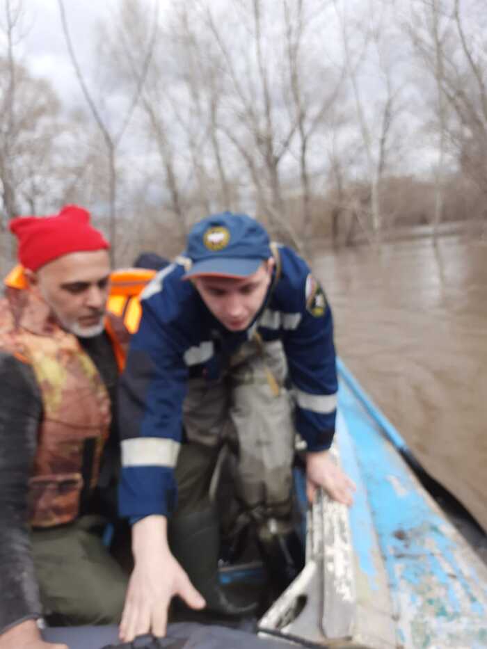 ����� ������������ ��������)