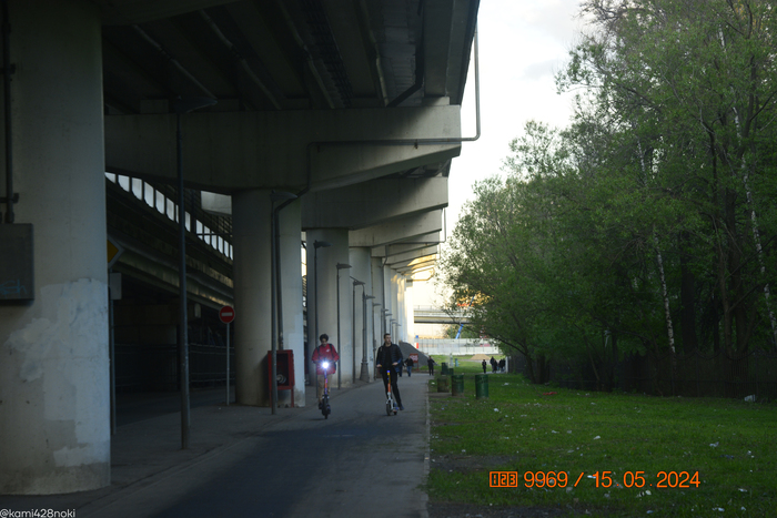 Удачный кадр: кикшеринг пытались на дыбы поставить