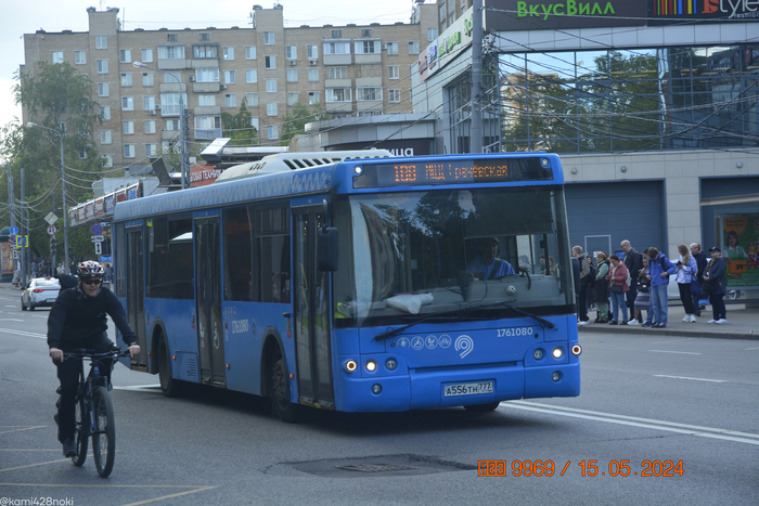 Фестивальная улица