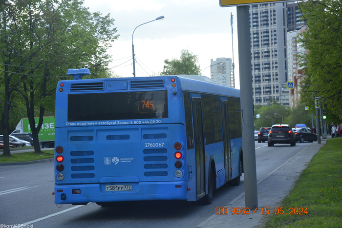 Фестивальная улица