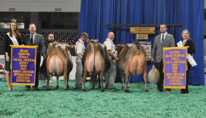 Интересно, а какой размер бюстгальтера нужен был бы им?