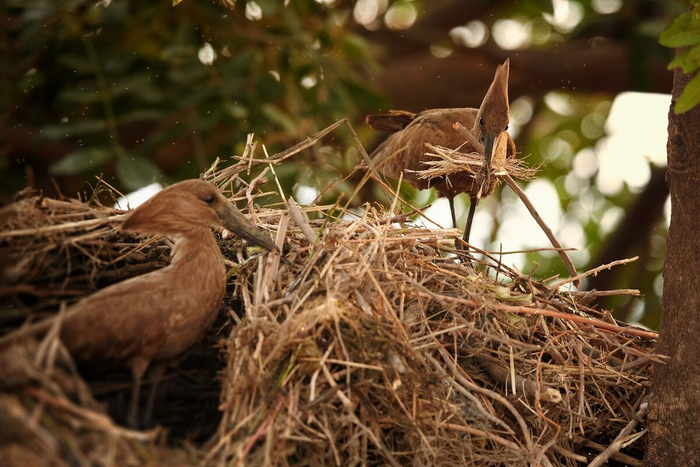После споров о том, каким цветом красить стены и как укладывать плинтуса, вы наверняка станете ближе...