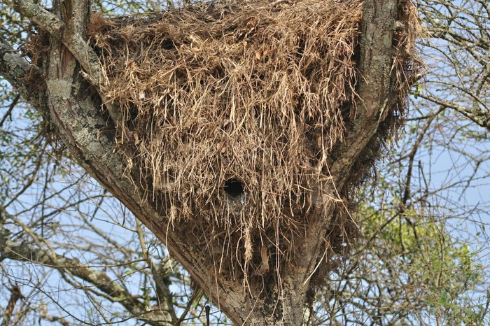 А вот и готовый домик!
