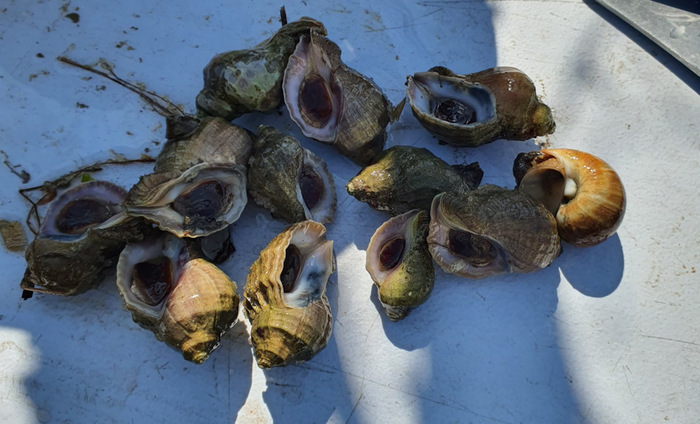 ������. ��������� ������� ���������� ���������.