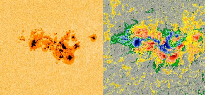   AR3664    --   .      ,       20    10-11  2024 .