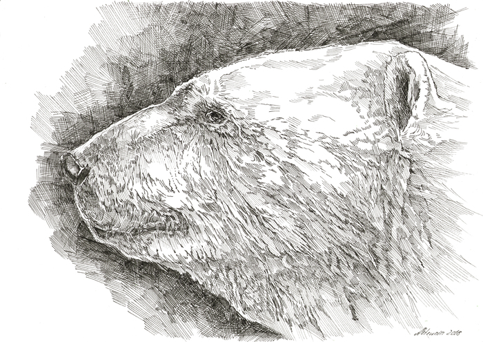 Больше работ можно посмотреть на виртуальной выставке на сайте