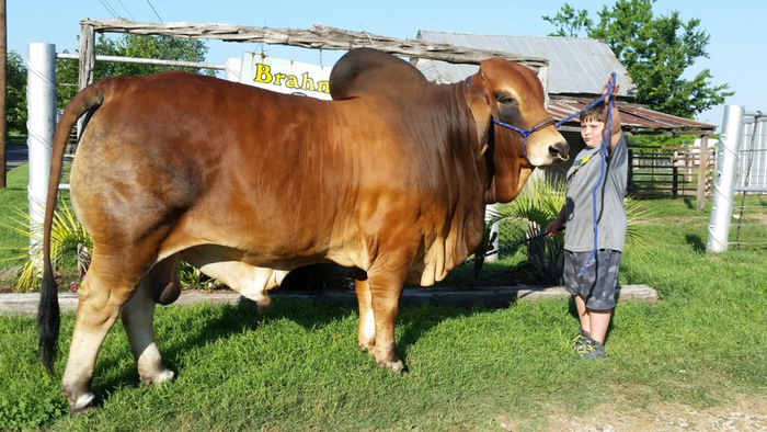 Ого, Стасян, как ты за лето вырос!