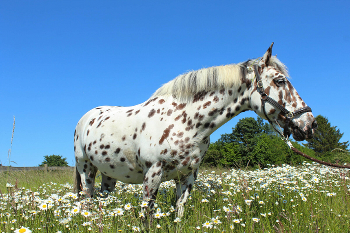 Дорогой, это платье в горошек меня не полнит?