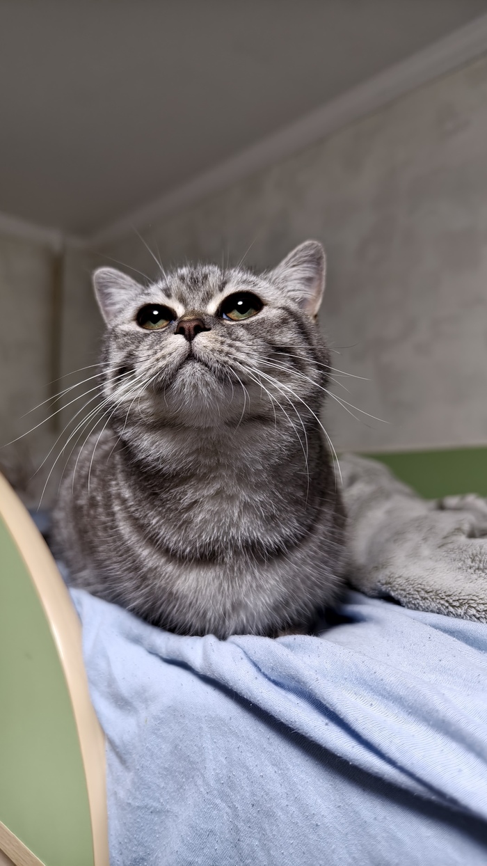 Опять этот с камерой лезет..