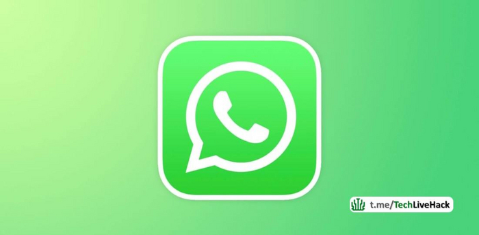  WhatsApp        ,  , WhatsApp, , , Telegram ()
